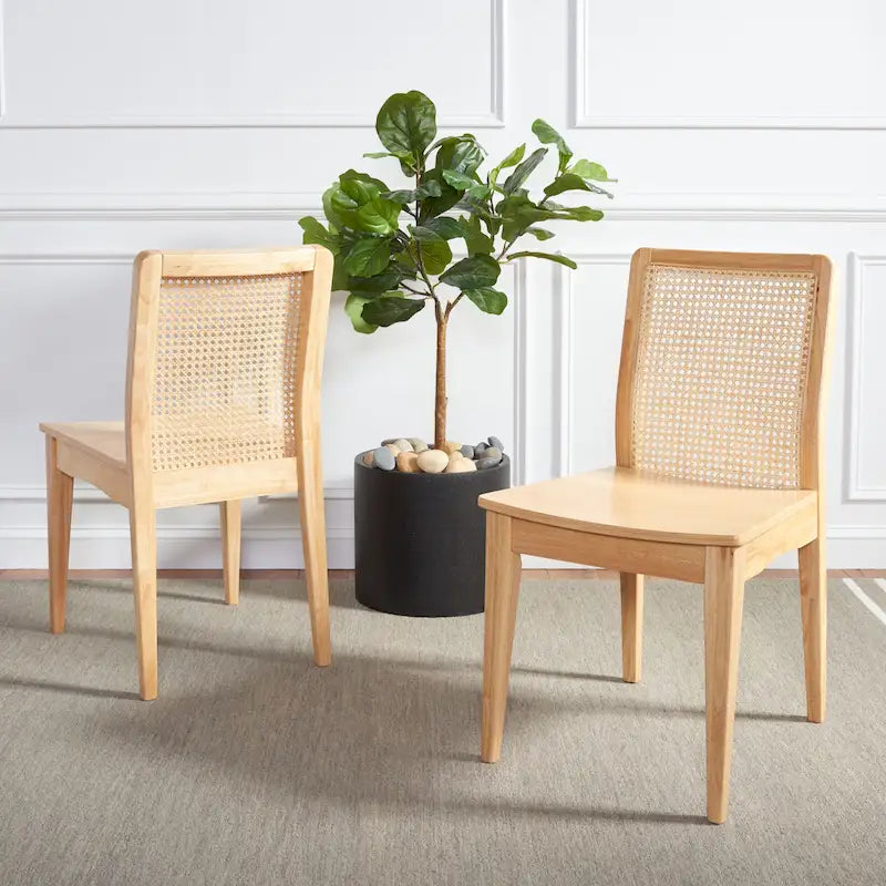 Chaise de salle à manger en rotin Blanc/Noir/Marron/Naturel, Lot de 2
