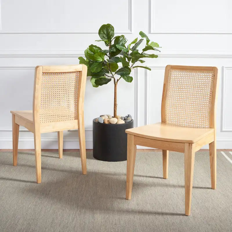 Chaise de salle à manger en rotin Blanc/Noir/Marron/Naturel, Lot de 2